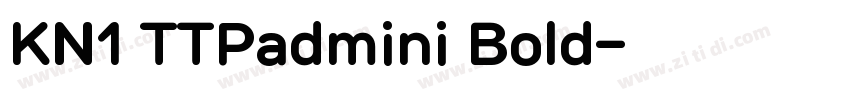 KN1 TTPadmini Bold字体转换